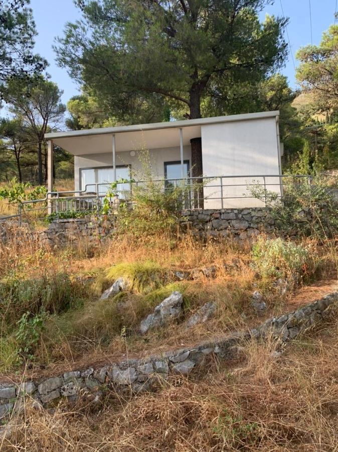 Lake View Shkodër Exterior foto